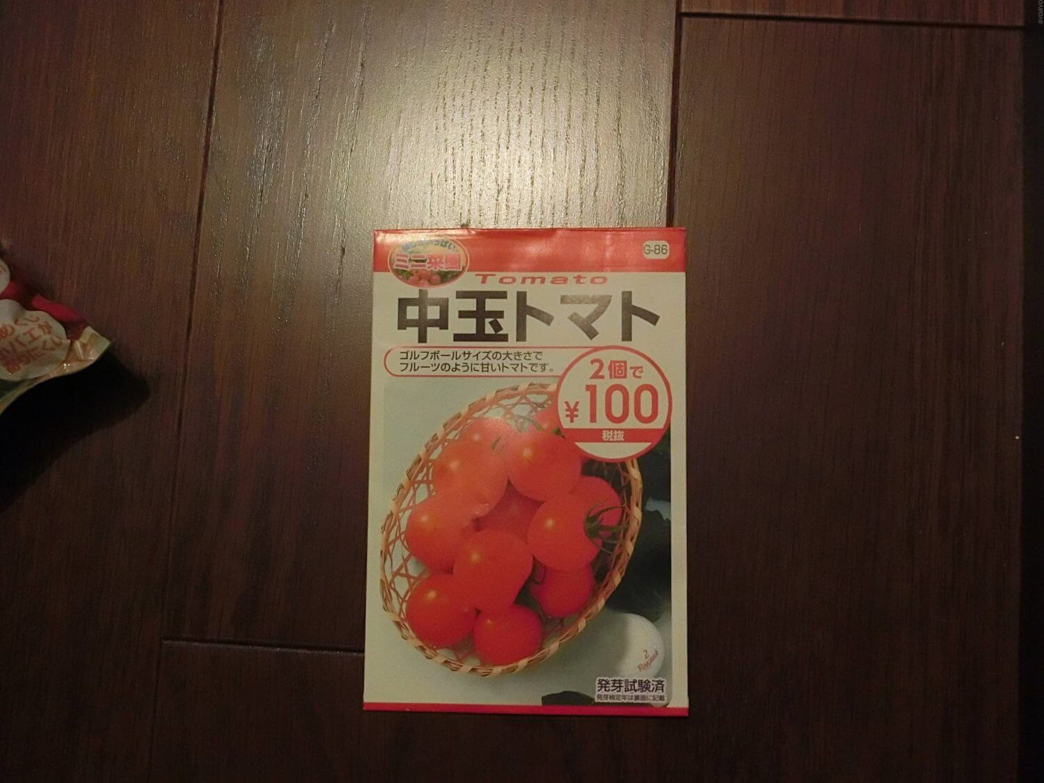【プチトマト栽培記録】190402