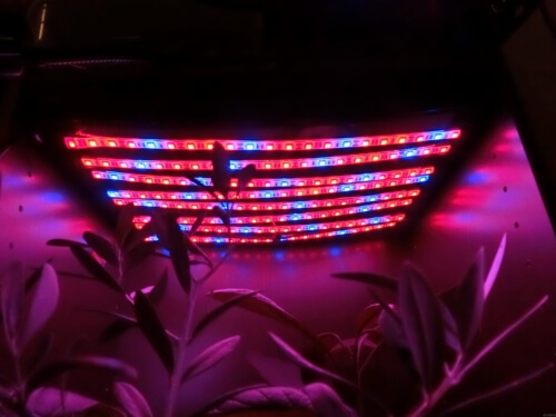 【DIY】植物育成用LEDを自作