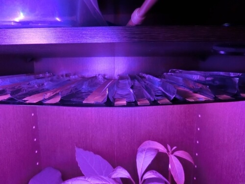 【DIY】植物育成用LEDを自作