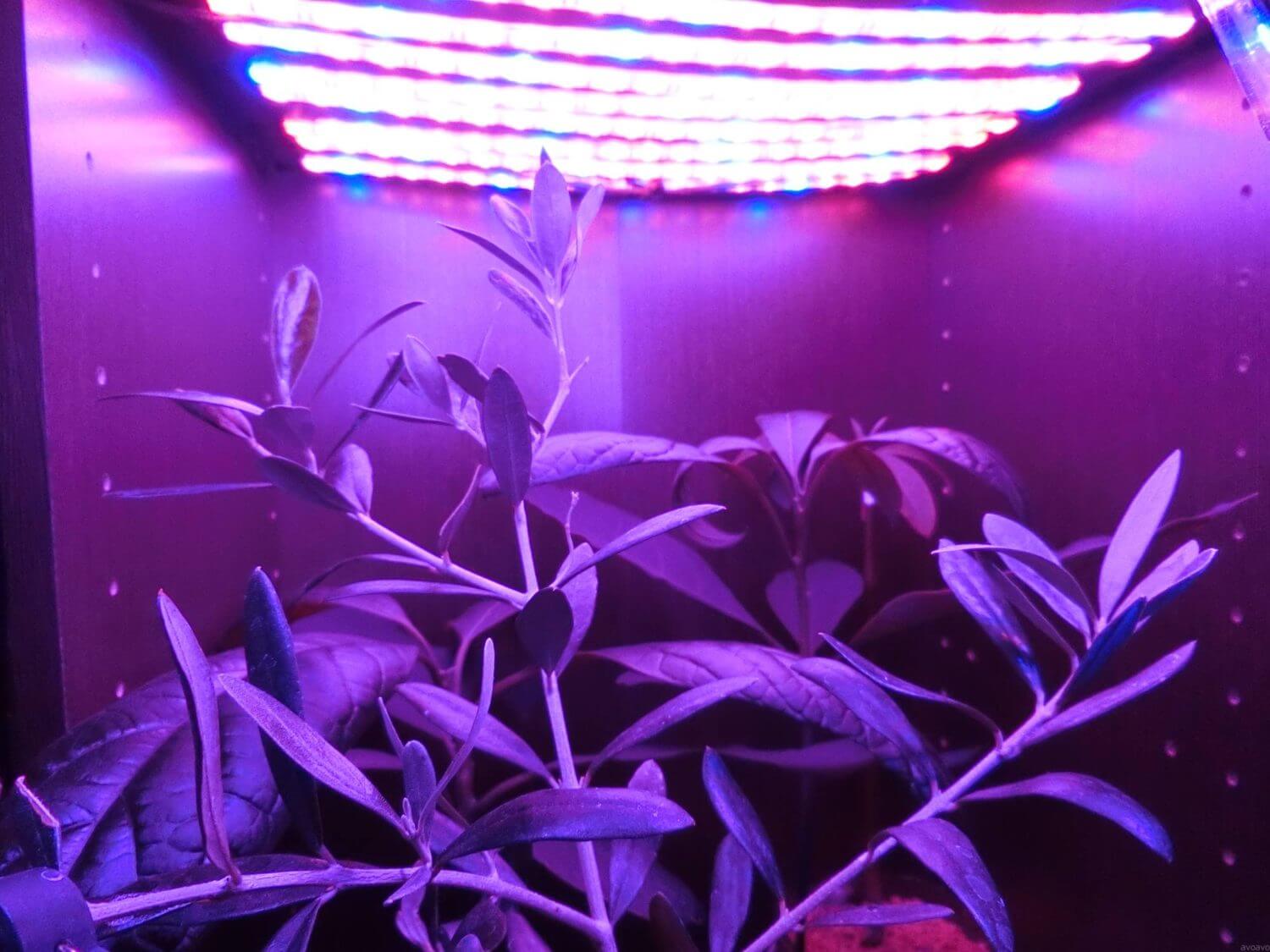 DIY】植物育成用LEDを自作 – avoavo